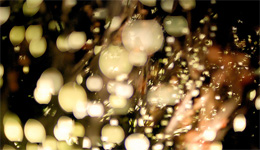 ラポール　ブライダルフェア